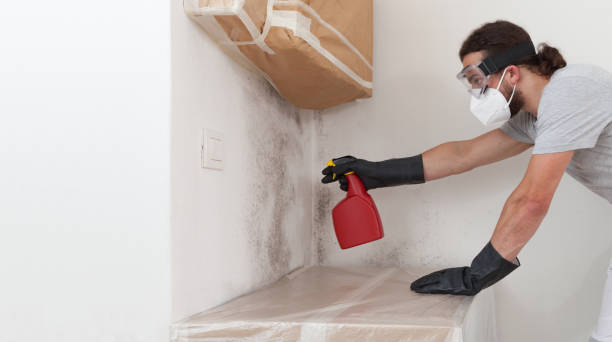 Basement Mold Remediation treatment on basement walls in Kennesaw